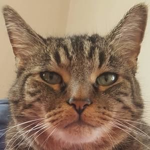 Meet your Posher, Rob